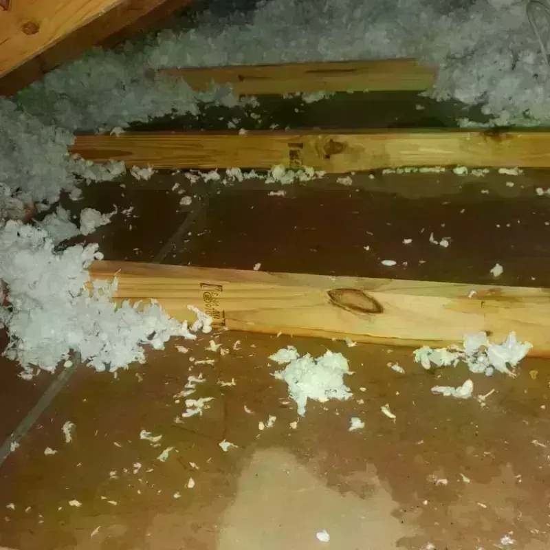 Attic Water Damage in Pawnee County, KS